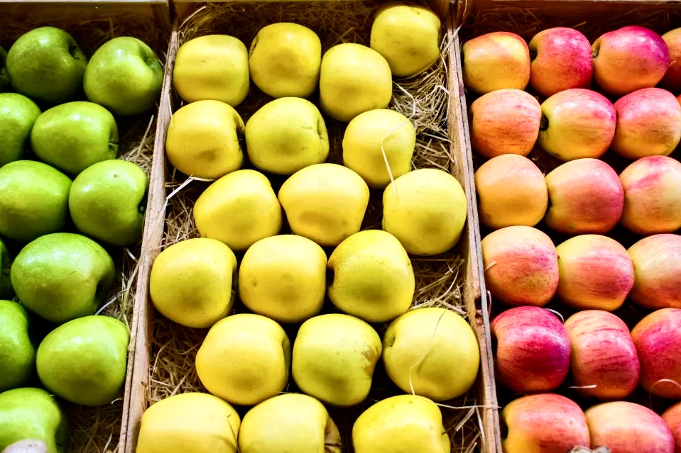 different-varieties-of-apples
