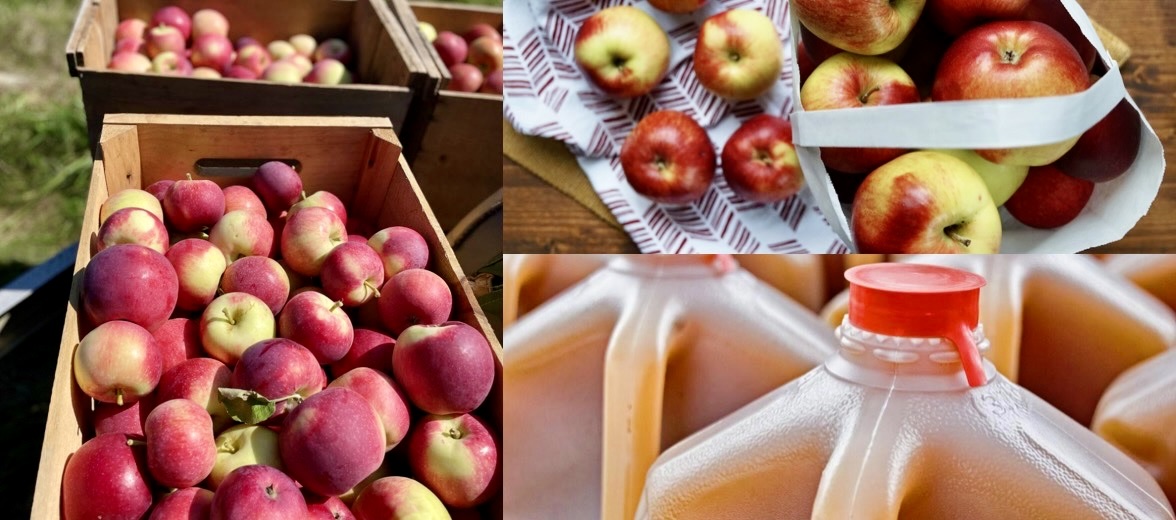 apples-and-cider
