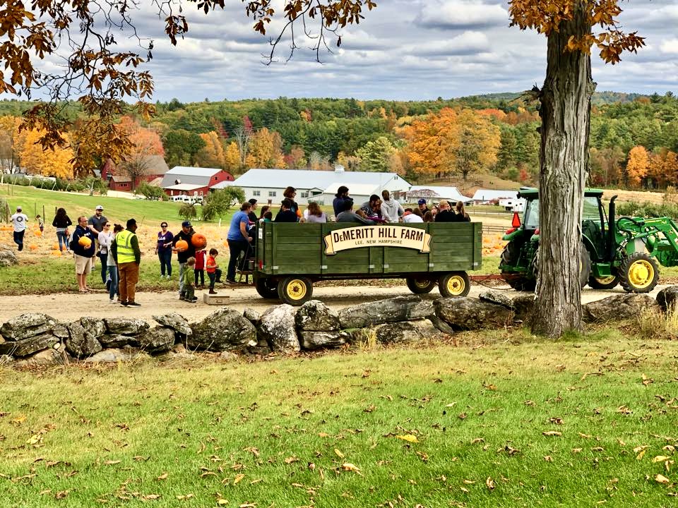 wagon-ride-in-new-hampshire-orchard