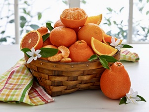 fresh-citrus 