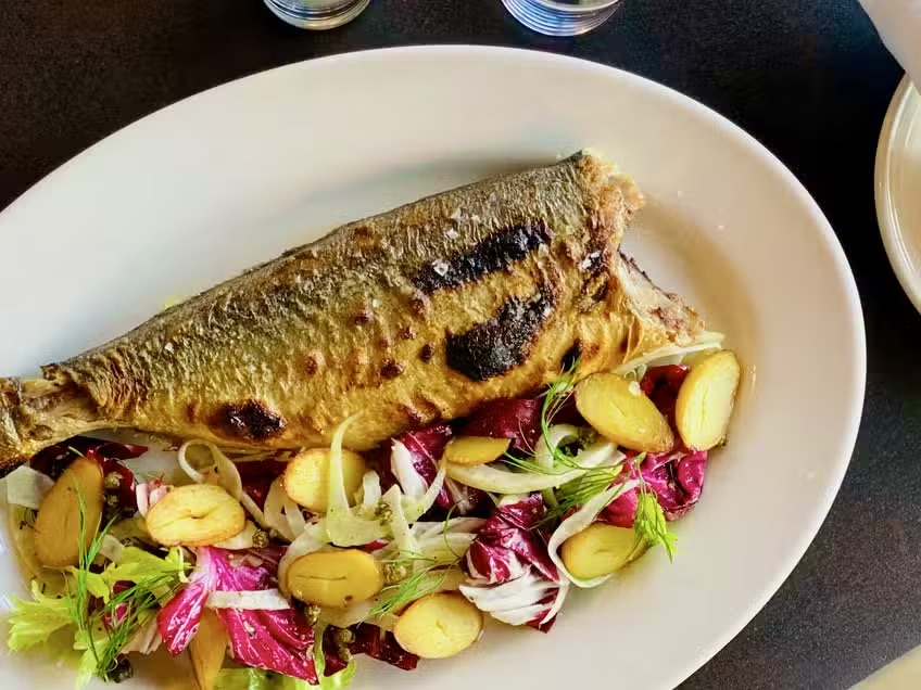 whole branzino at scales in Portland Maine 
